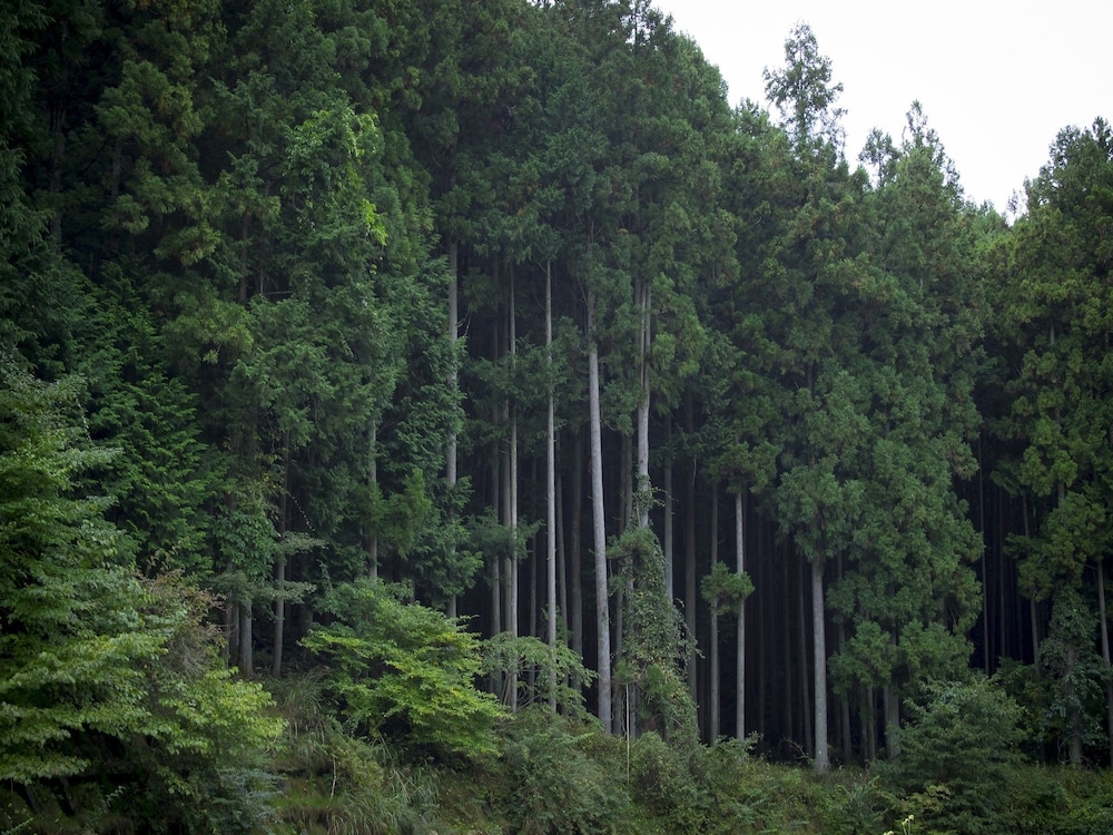 古民家宿 LOOF 坂之家 甲府