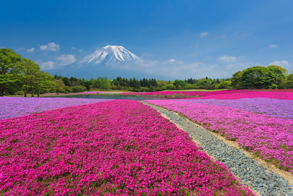 ホテルマイステイズ富士山　展望温泉 甲府
