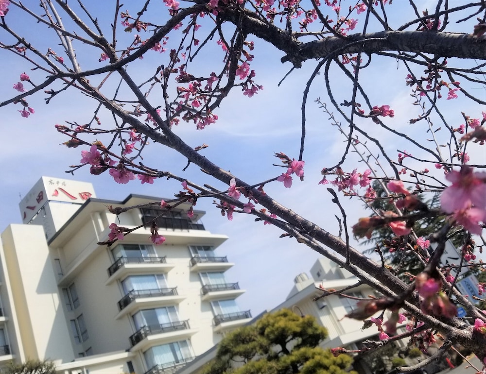 ホテル八田 甲府