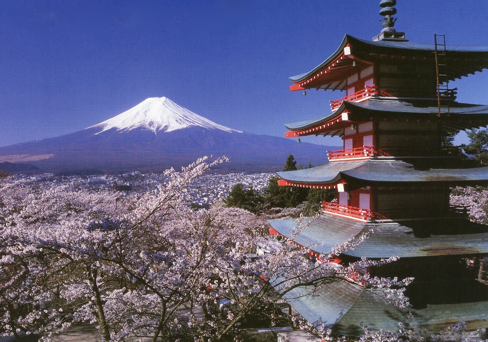マウント富士ホステルマイケルズ 甲府