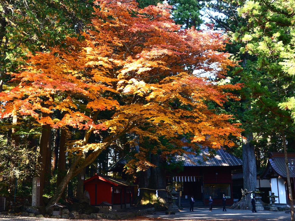 ホステル富士山・結 甲府