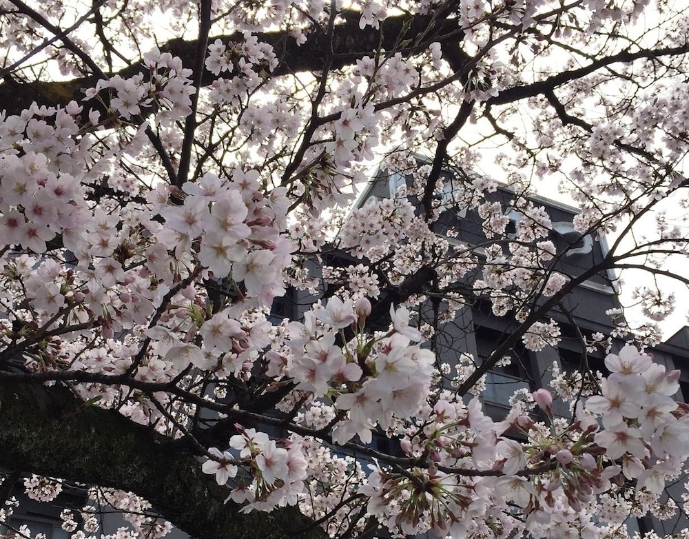 銘石の宿 かげつ 甲府