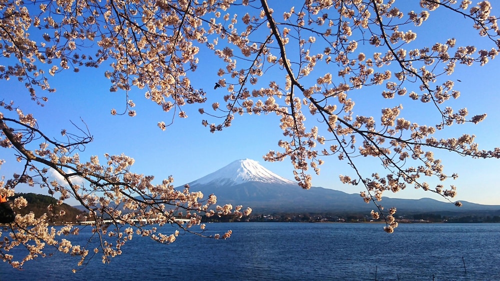 レイクヴィラ河口湖 甲府