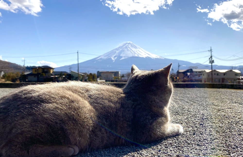 レイクヴィラ河口湖 甲府