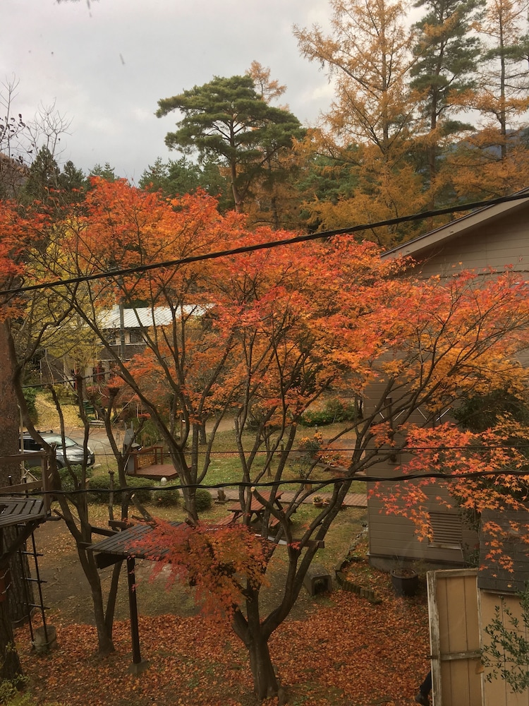 紙ふうせん 甲府
