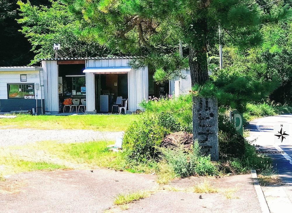 ルピナス河口湖 甲府