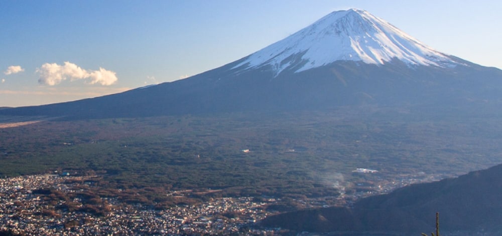 ルピナス河口湖 甲府