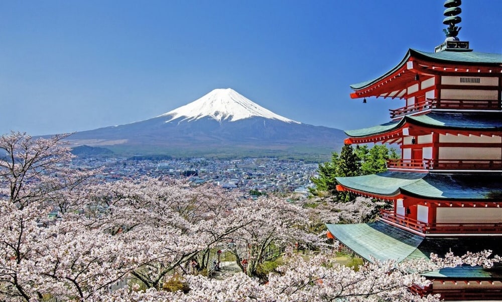 ルピナス河口湖 甲府