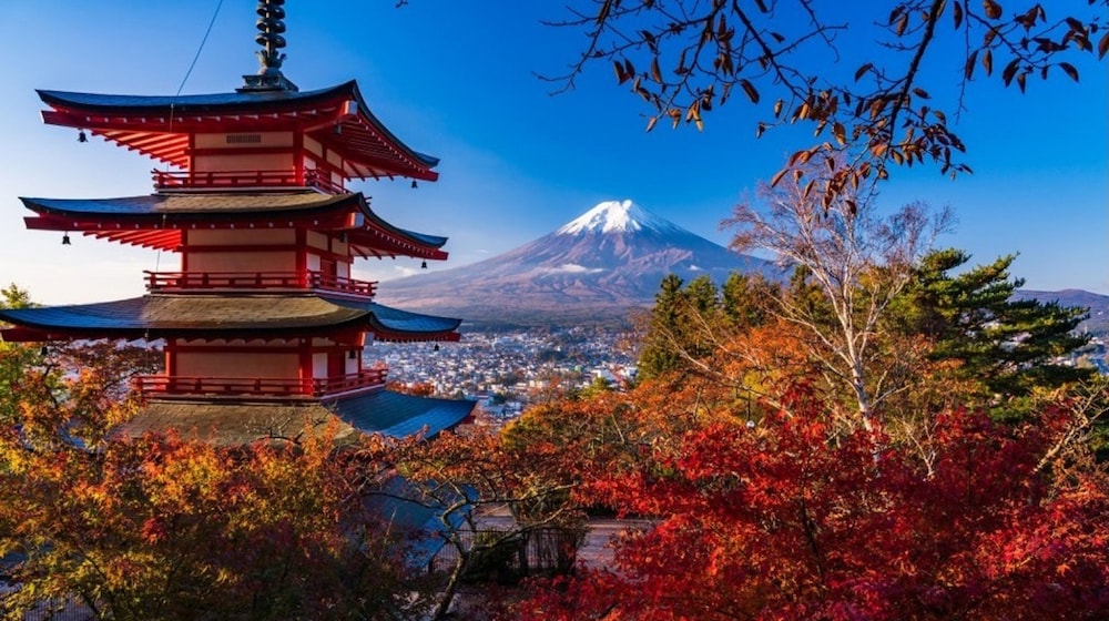 ルピナス河口湖 甲府