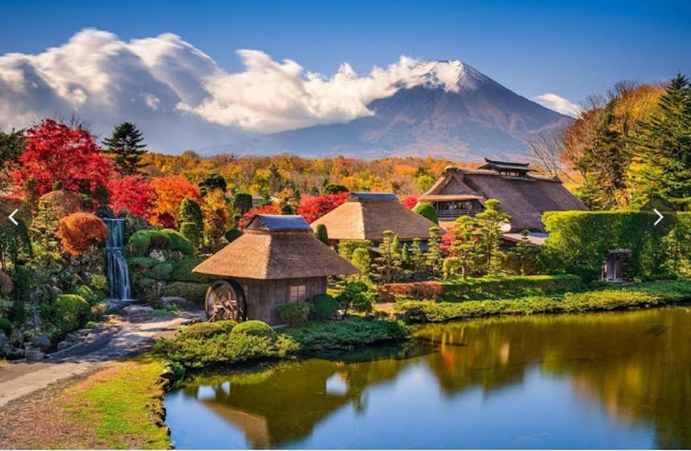 ルピナス河口湖 甲府