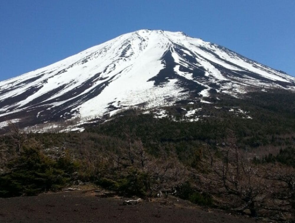 ルピナス河口湖 甲府