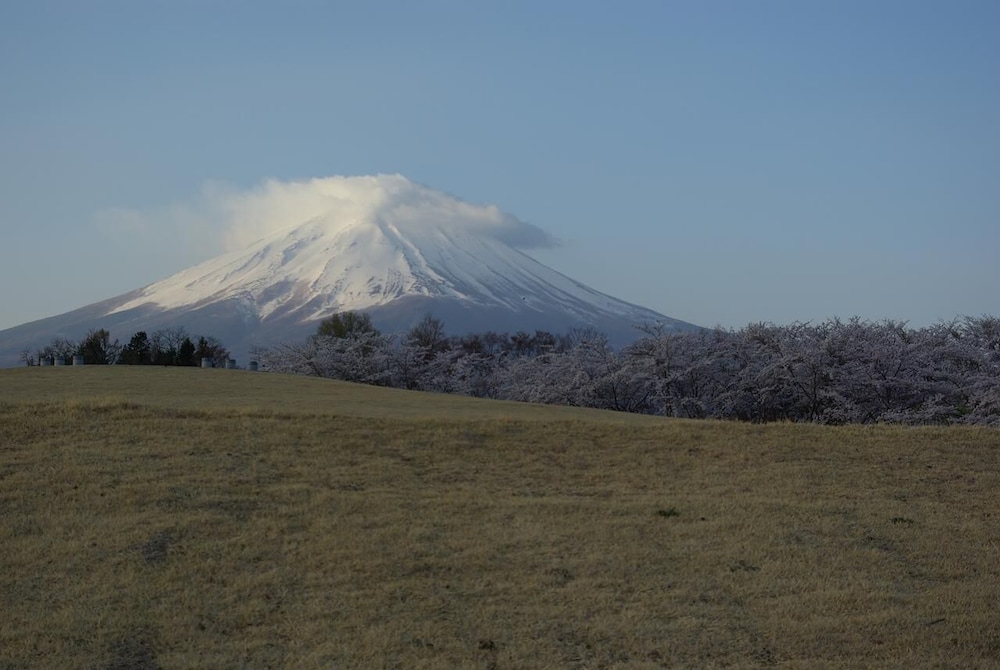 外川荘 甲府