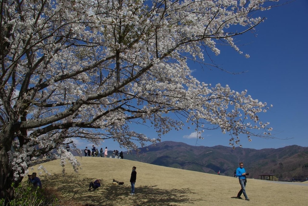 外川荘 甲府