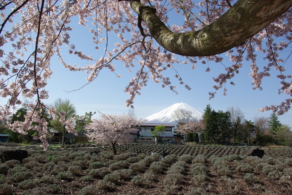 外川荘 甲府
