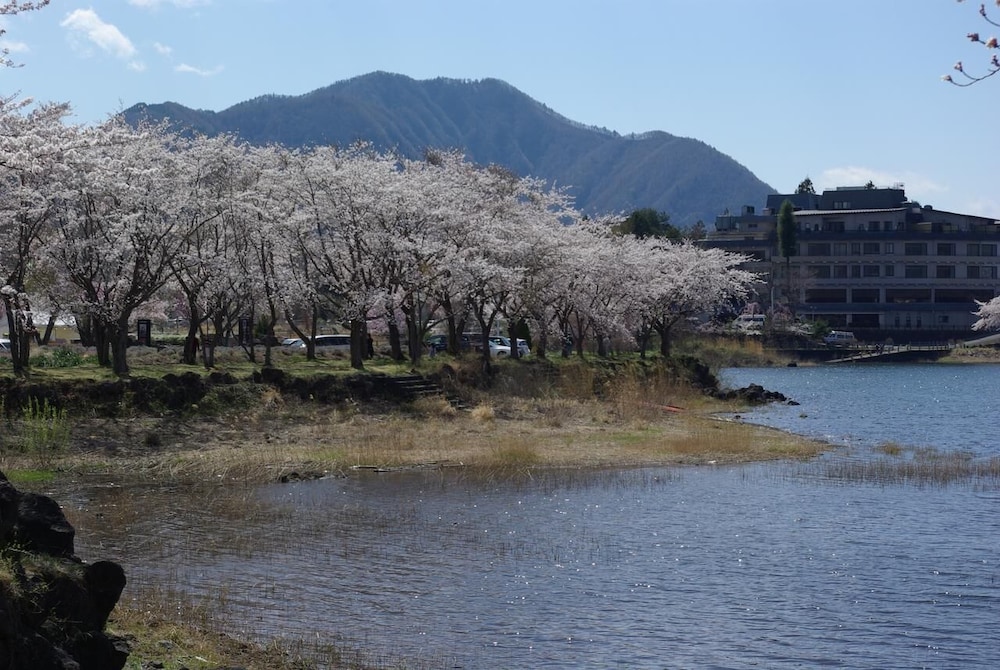 外川荘 甲府
