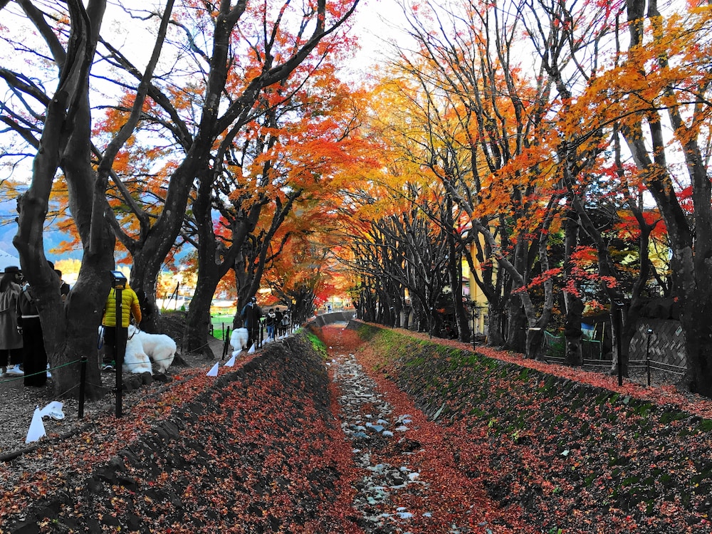 河口湖 貸別荘は り楽S 甲府