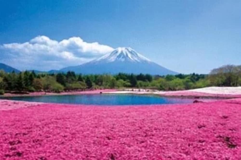 ゲストハウス咲耶 甲府