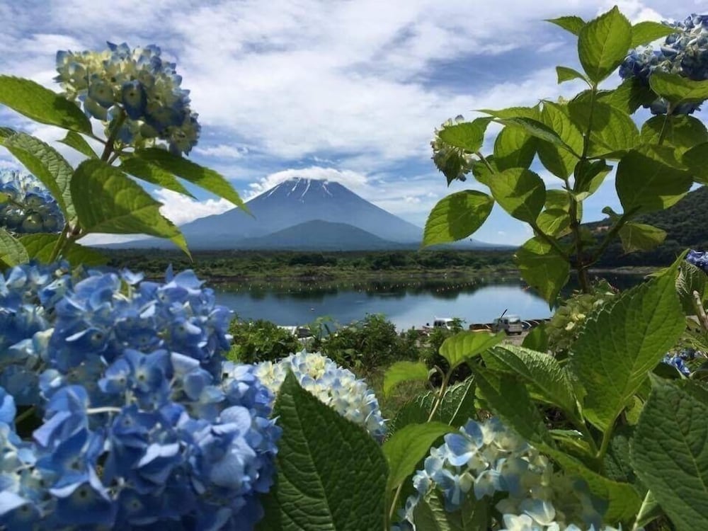 富士山眺望の宿 精進マウントホテル 甲府