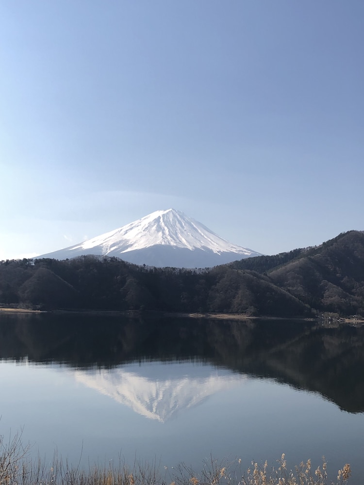 フォレスト リゾート コスモス 甲府