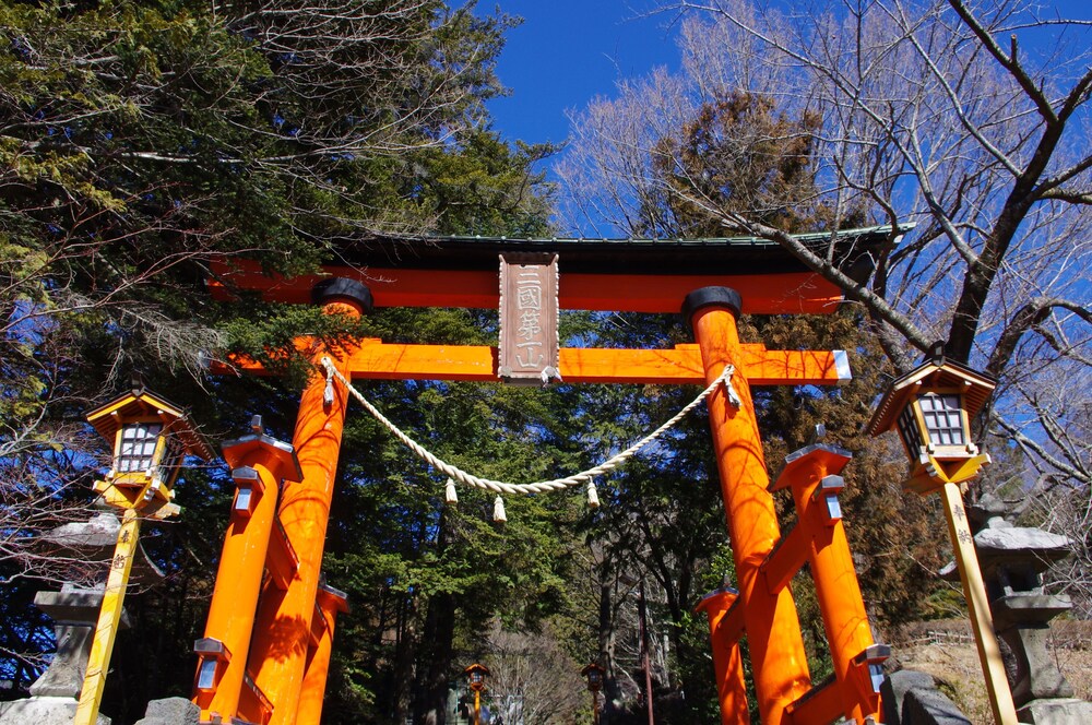 フォレスト リゾート コスモス 甲府