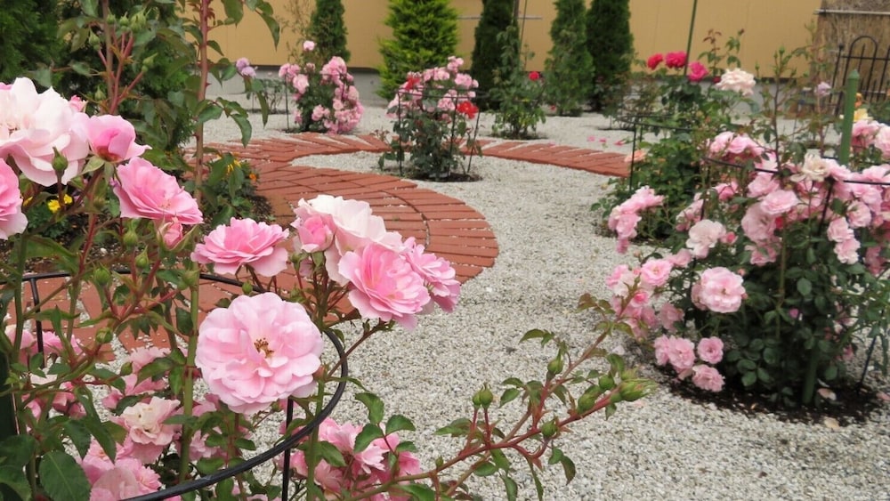 花の宿 夢富士 甲府