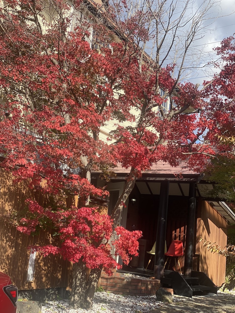 SAMURISE NORTH 甲府
