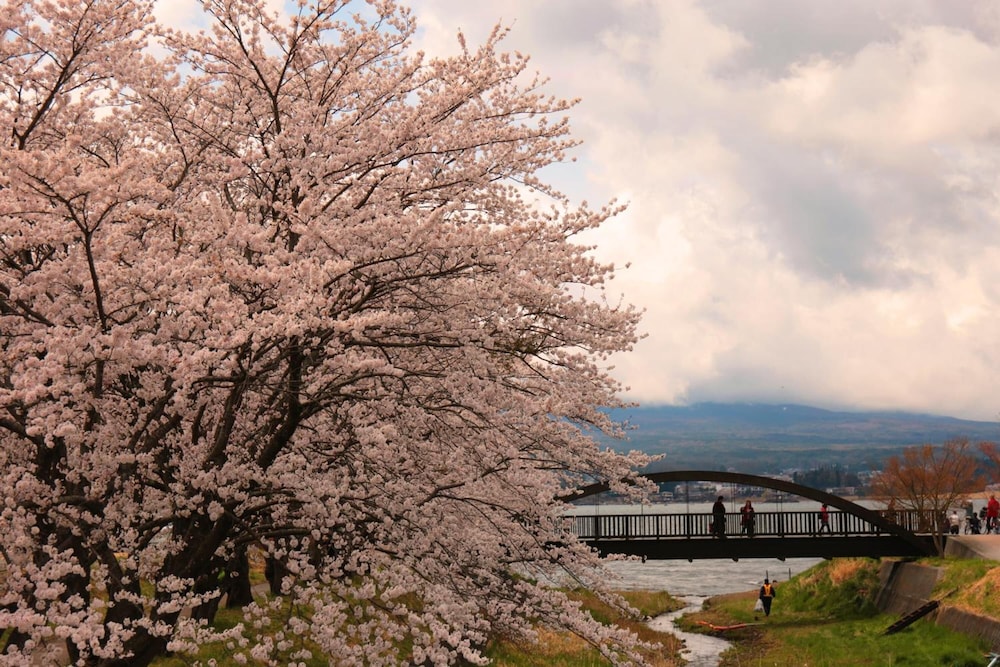 SAMURISE NORTH 甲府