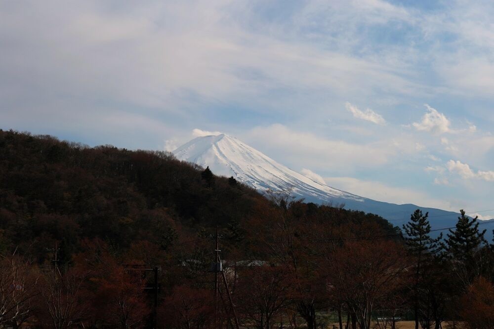 SAMURISE NORTH 甲府