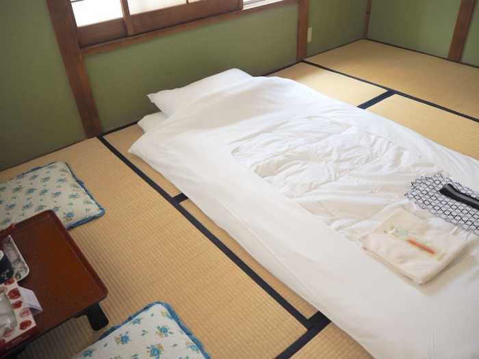 富士の屋旅館 甲府