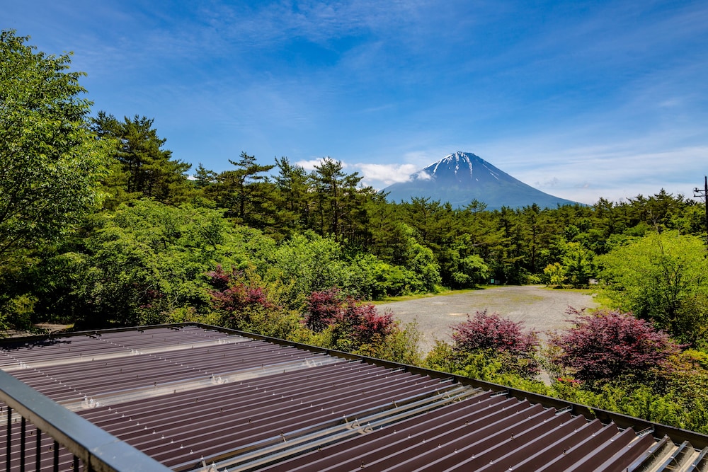 王岳 甲府