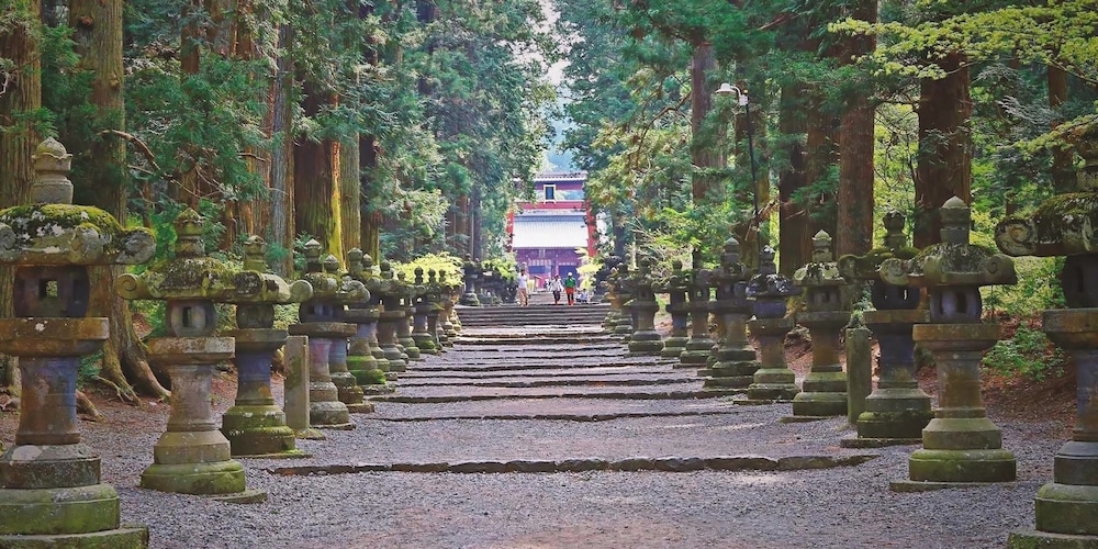 富士山リゾートログハウス ふようの宿 甲府