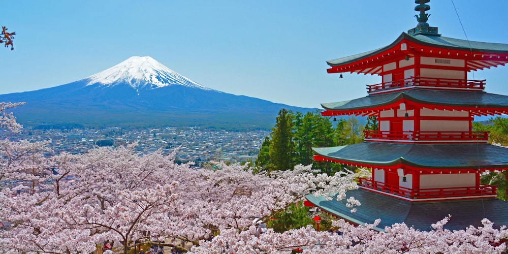 富士山リゾートログハウス ふようの宿 甲府