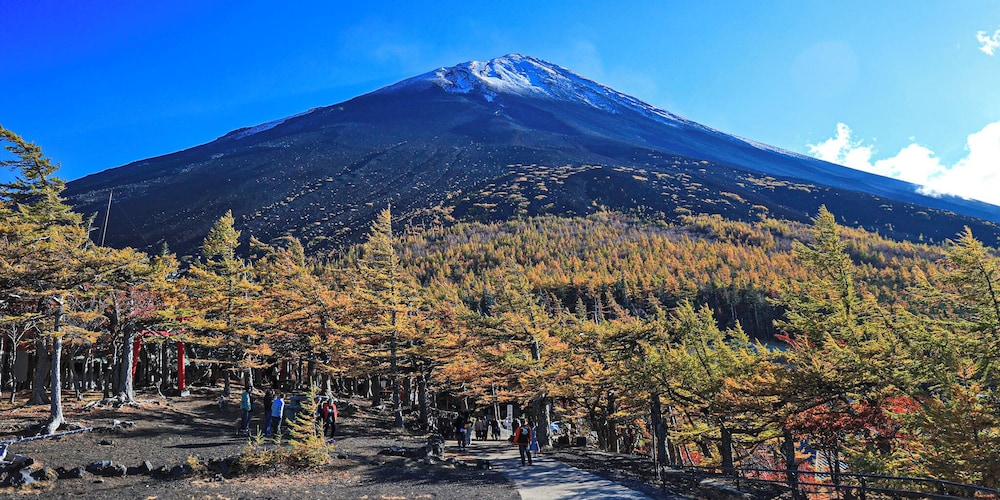富士山リゾートログハウス ふようの宿 甲府