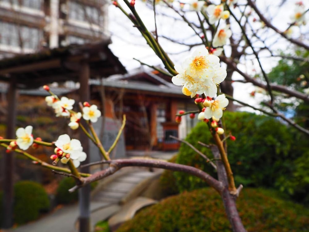 若神楼 甲府