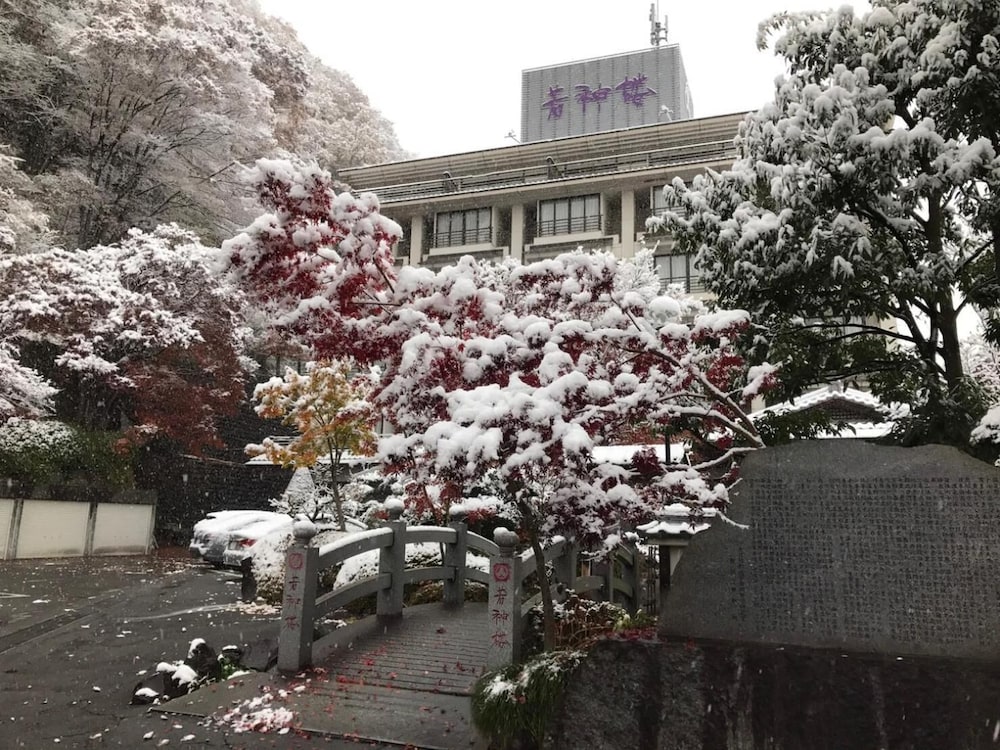 若神楼 甲府