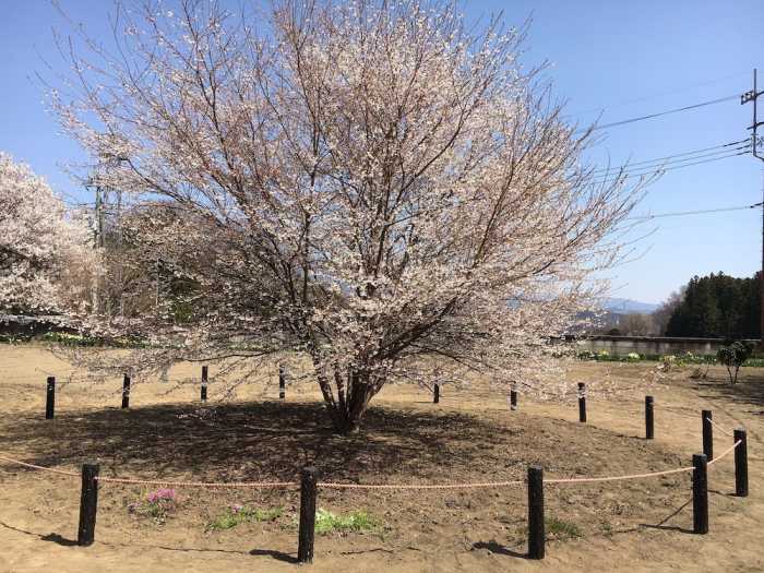 アルプス ロッジ 甲府