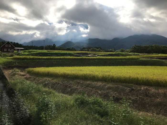 アルプス ロッジ 甲府