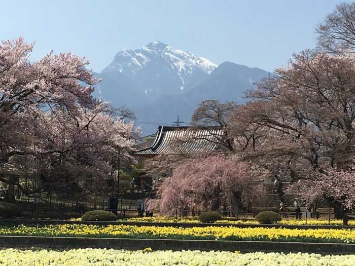 アルプス ロッジ 甲府
