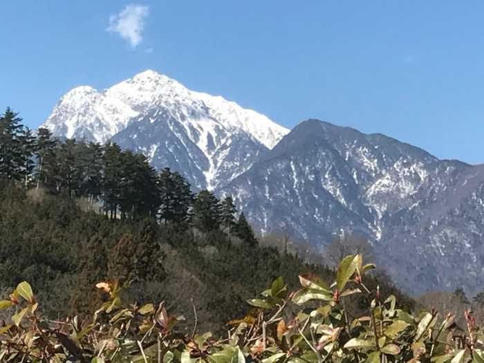 アルプス ロッジ 甲府