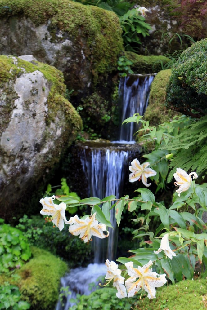 庭園茶寮山中湖 甲府