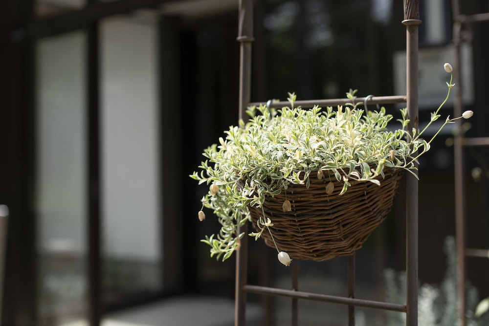 山中湖旅館 梁山－RYOZAN－ 甲府