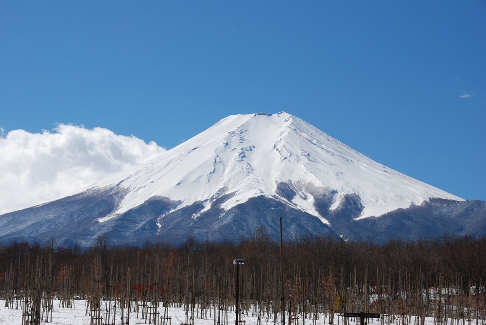民宿 山乃家 甲府
