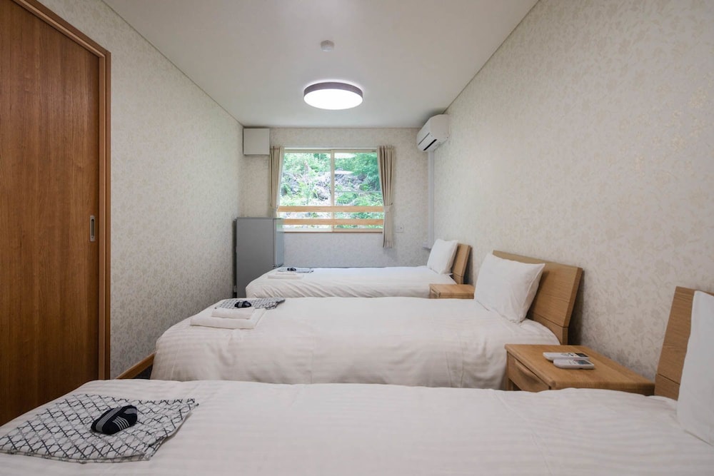 FUJIYAMA INN CONIFER 甲府