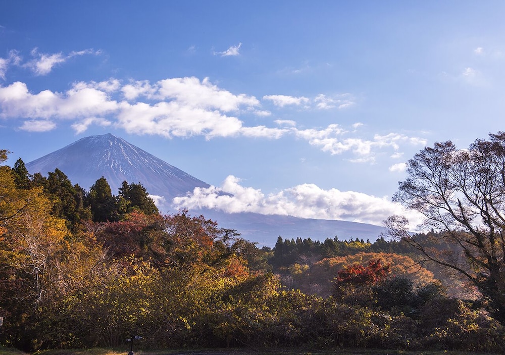 HAOSTAY 甲府