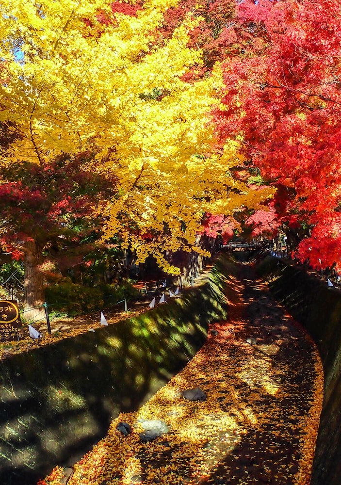 HAOSTAY 甲府