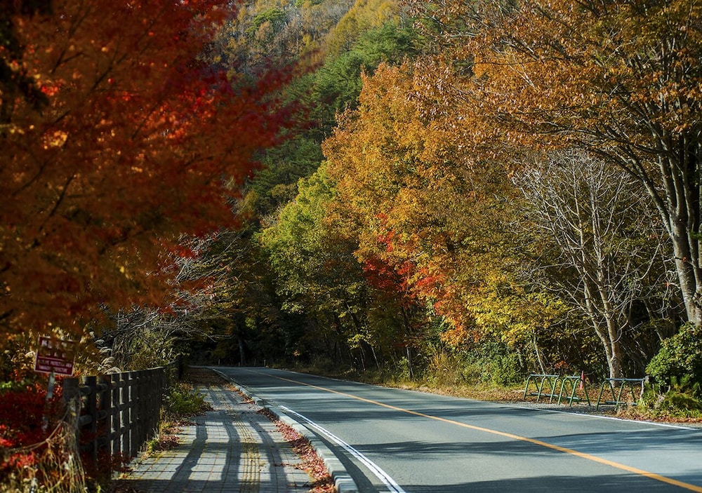 HAOSTAY 甲府