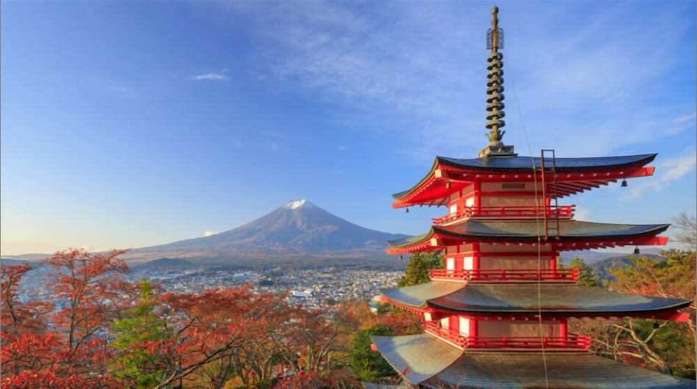 SAKURA FUJI 甲府