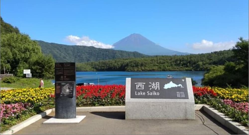 SAKURA FUJI 甲府