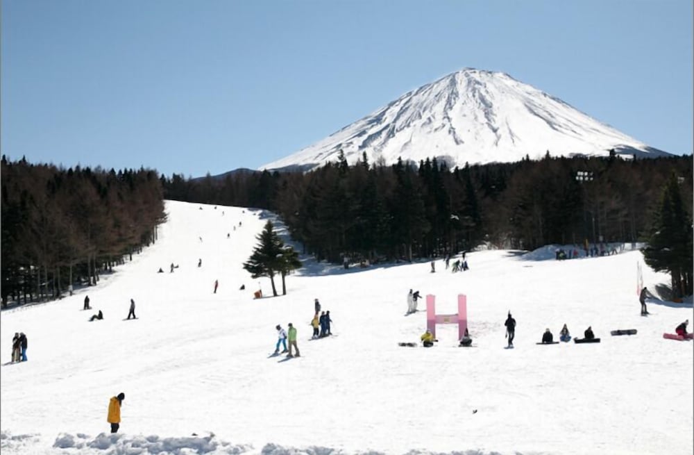 SAKURA FUJI 甲府