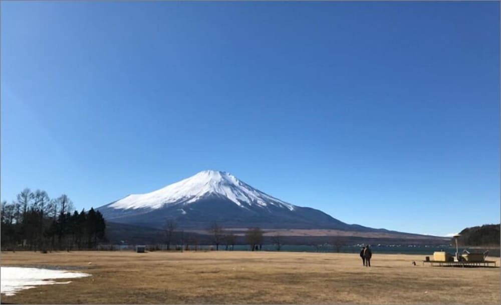 SAKURA FUJI 甲府